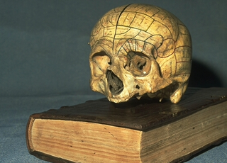 Illustration for article titled 10 Pseudo-Science Theories We'd Like to See Retired Forever